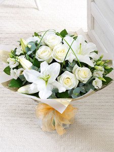 WonderfulWhiteSympathy